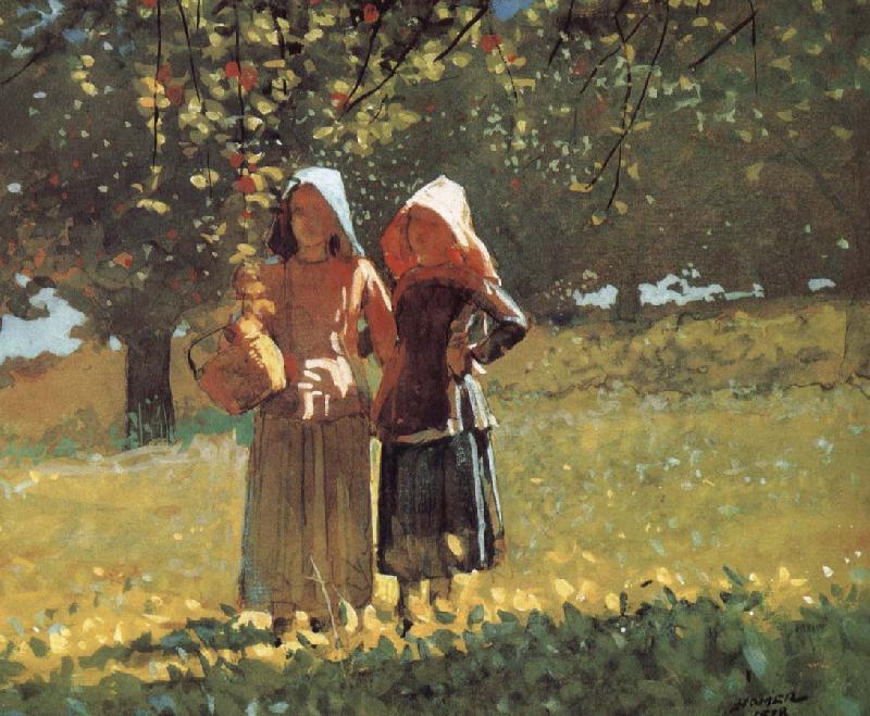 Winslow Homer Mining Apple Sweden oil painting art